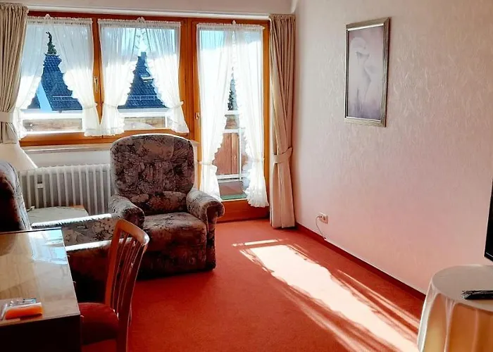 Hotell Seemueller 3*